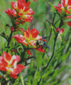 Bee On Indian Paintbrush Diamond Paintings