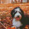 Bernedoodle In The Leaves Diamond Paintings