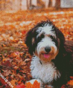 Bernedoodle In The Leaves Diamond Paintings