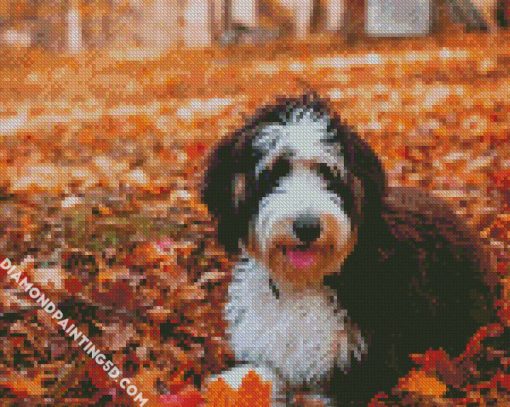 Bernedoodle In The Leaves Diamond Paintings