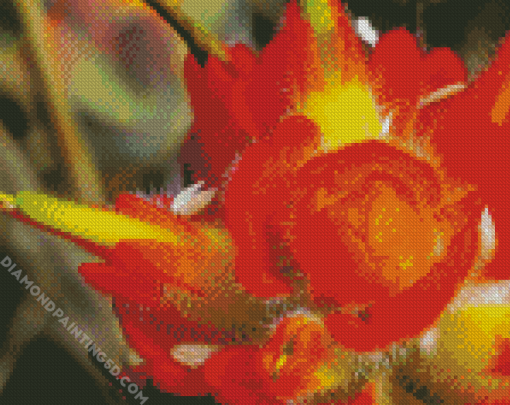 Close Up Indian Paintbrush Diamond Paintings