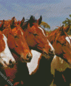 Five Horses Diamond Paintings