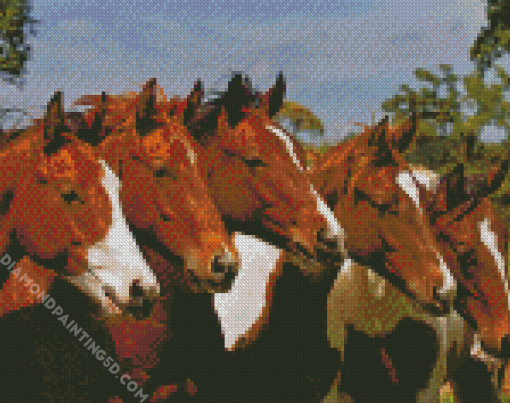 Five Horses Diamond Paintings