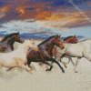 Five Horses In Desert Diamond Paintings