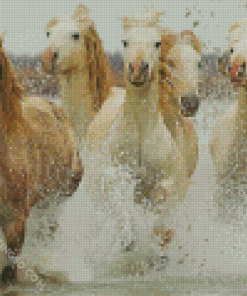 Five Horses In Water Diamond Paintings