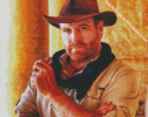 Josh Gates American Presenter Diamond Paintings