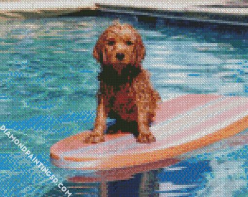 Wet Dog On Surfboard Diamond Paintings