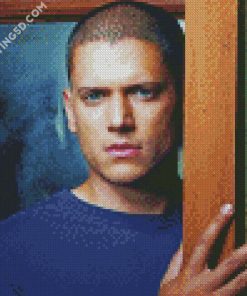 Wentworth Miller Diamond Paintings