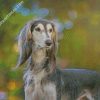 Saluki Dog diamond painting