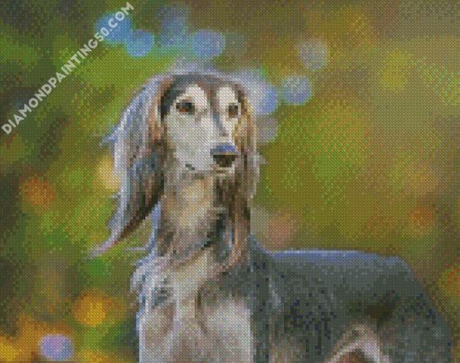 Saluki Dog diamond painting