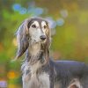 Saluki Dog diamond painting