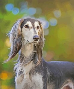 Saluki Dog diamond painting