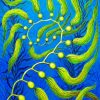 Seaweed Spiral Art Diamond Paintings