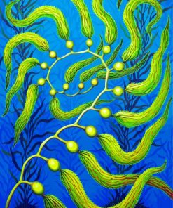 Seaweed Spiral Art Diamond Paintings