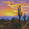 Southwest Desert Scene Sunset Diamond Paintings