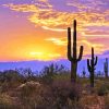 Southwest Desert Scene Sunset Diamond Paintings