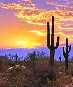 Southwest Desert Scene Sunset Diamond Paintings