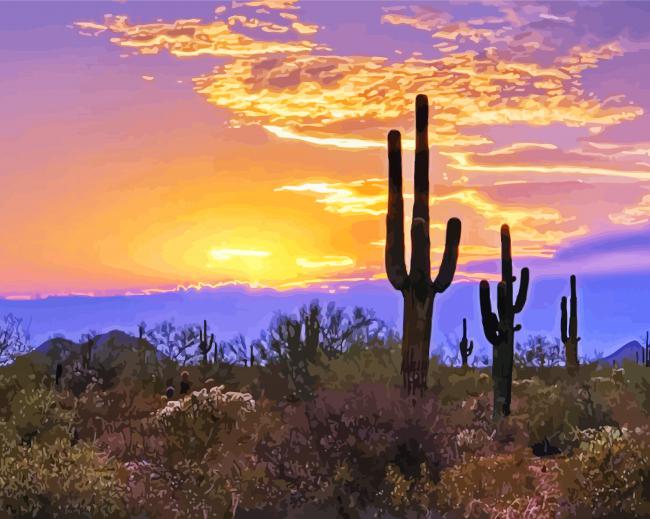 Southwest Desert Scene Sunset Diamond Paintings