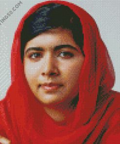 The Activist Malala Yousafzai diamond painting