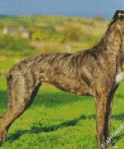 The Lurcher Dog diamond painting