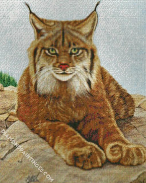 The Lynx Cat diamond painting