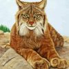 The Lynx Cat diamond painting