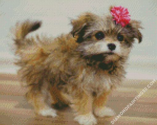 The Maltipom Puppy diamond painting