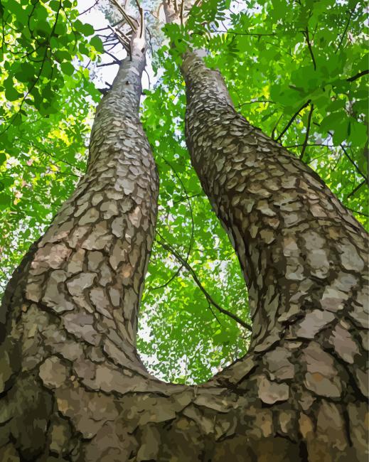 The Twin Tree Diamond Paintings