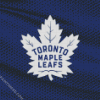 Toronto Maple Leafs Logo diamond painting