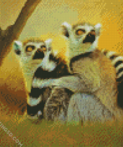 Two Lemurs diamond painting