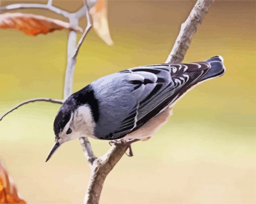 Breasted Nuthatch Bird Diamond Paintings