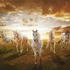 White Five Horses Diamond Paintings