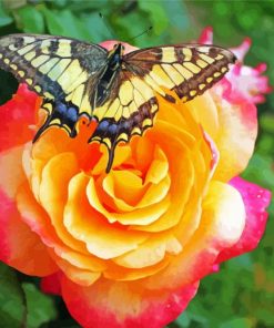 Aesthetic Butterfly Rose Diamond Paintings