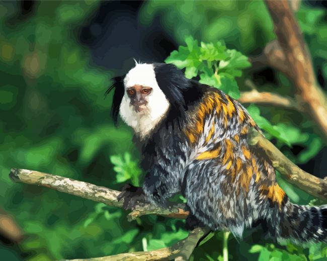 Marmoset Monkey Diamond Paintings