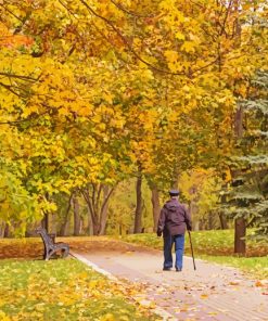 Aesthetic Walk In The Park Diamond Paintings