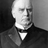 William Mckinley Diamond Paintings