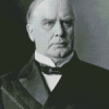 William Mckinley Diamond Paintings