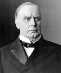 William Mckinley Diamond Paintings