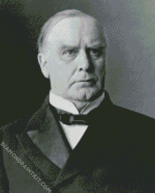 William Mckinley Diamond Paintings