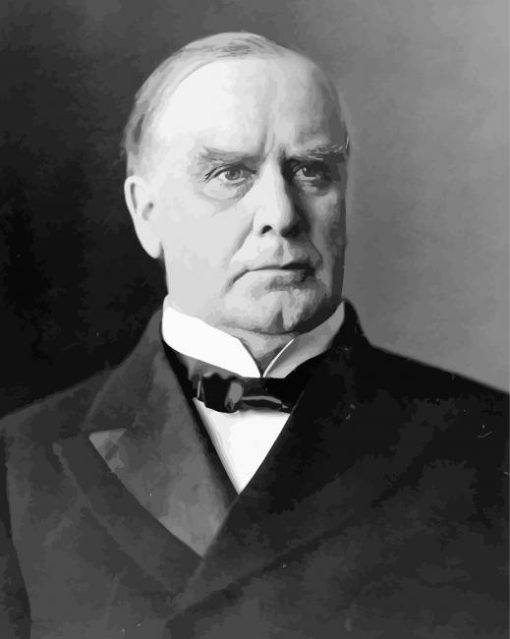 William Mckinley Diamond Paintings