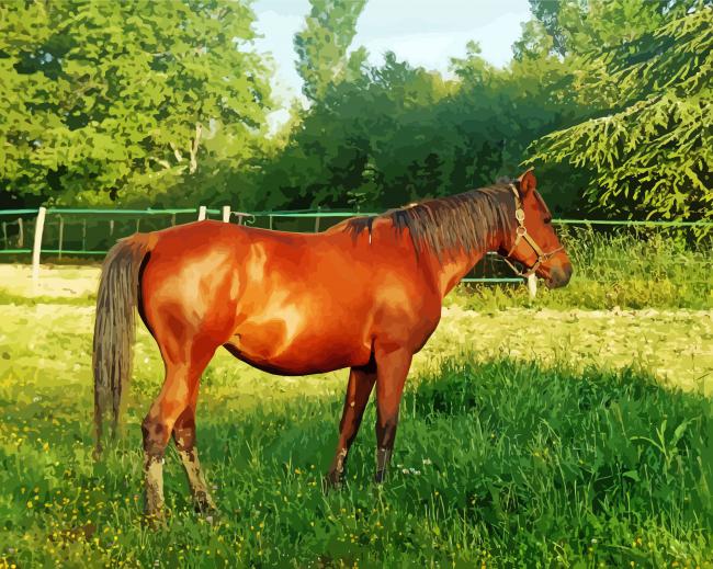 Aesthetic Brown Mare Diamond Paintings