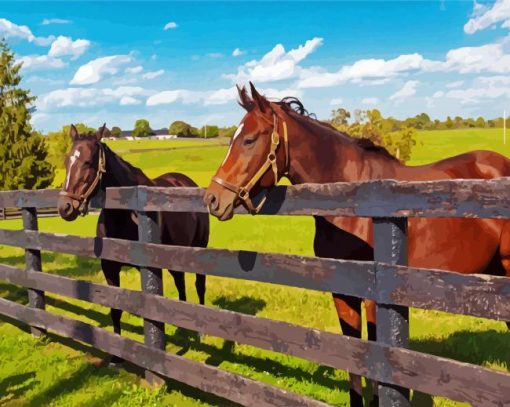 Aesthetic Farm Horses Diamond Paintings