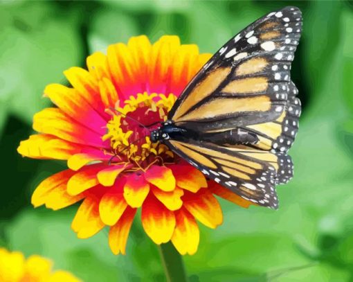 Marigold Diamond Paintings