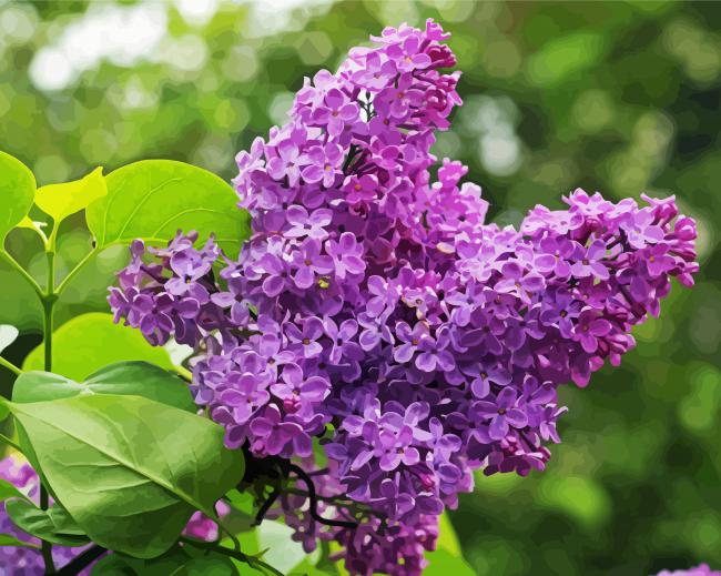 Aesthetic Purple Lilac Tree Diamond Paintings