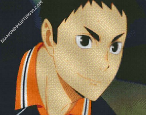 Anime Haikyuu Daichi Sawamura diamond painting