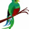 Quetzal Bird Art Diamond Paintings