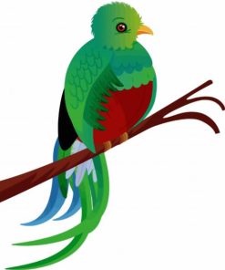 Quetzal Bird Art Diamond Paintings