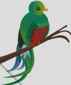 Quetzal Bird Art Diamond Paintings