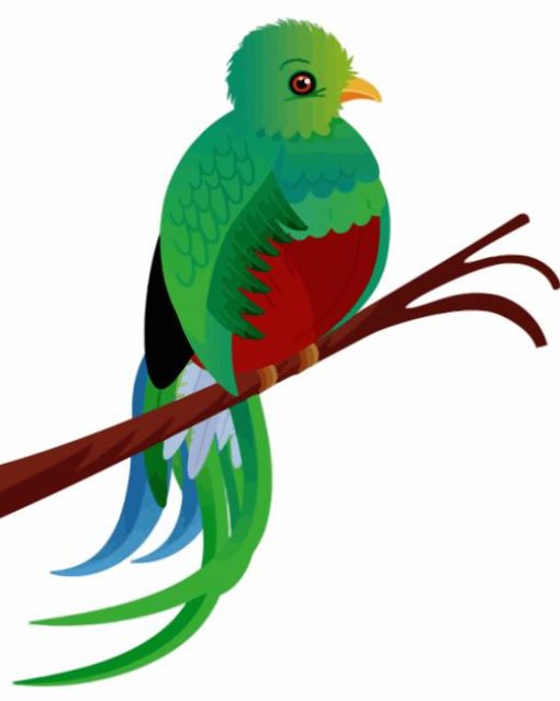 Quetzal Bird Art Diamond Paintings