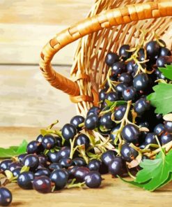 Basket Of Cassis Fruit Diamond Paintings